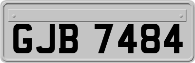 GJB7484