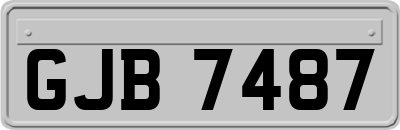 GJB7487
