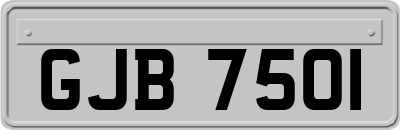 GJB7501