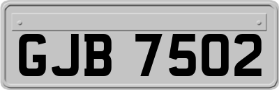 GJB7502