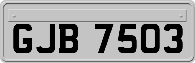 GJB7503