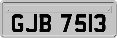 GJB7513