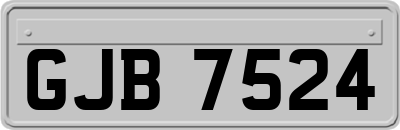 GJB7524