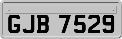 GJB7529