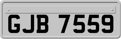 GJB7559