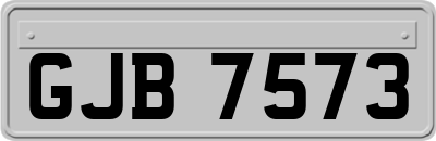 GJB7573