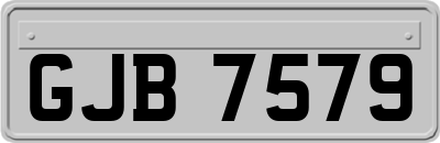 GJB7579