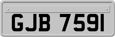 GJB7591