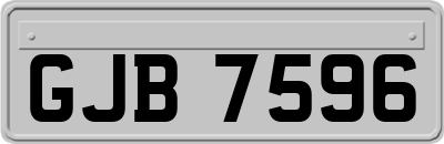 GJB7596