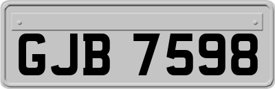 GJB7598