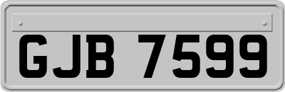 GJB7599