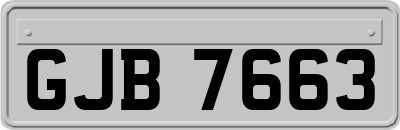 GJB7663