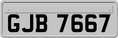 GJB7667