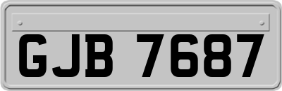 GJB7687