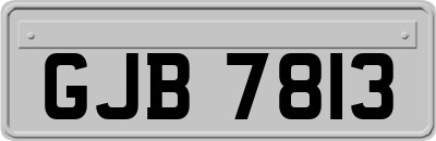GJB7813