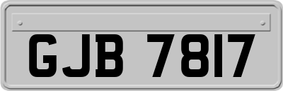 GJB7817