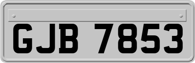 GJB7853