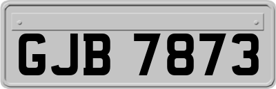 GJB7873