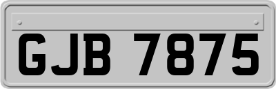 GJB7875