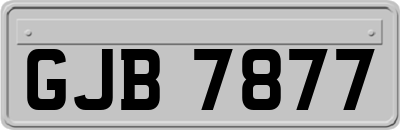 GJB7877