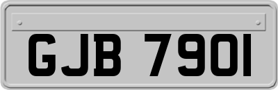 GJB7901