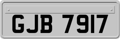 GJB7917