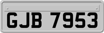 GJB7953