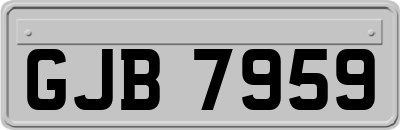 GJB7959