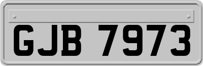 GJB7973