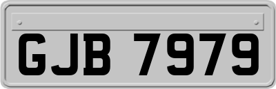 GJB7979