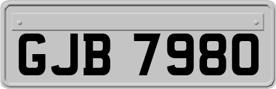 GJB7980