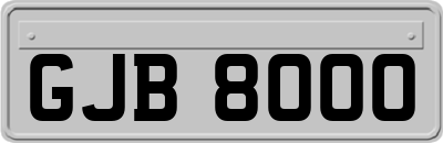 GJB8000