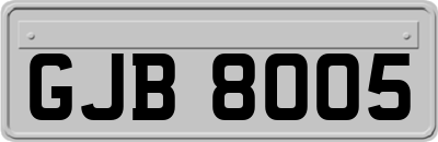 GJB8005