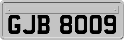 GJB8009