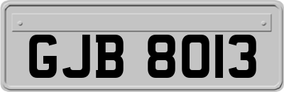 GJB8013