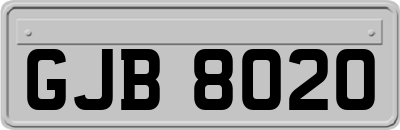 GJB8020