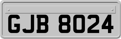 GJB8024