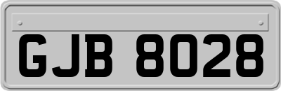 GJB8028
