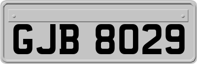 GJB8029
