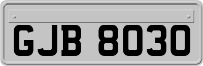 GJB8030