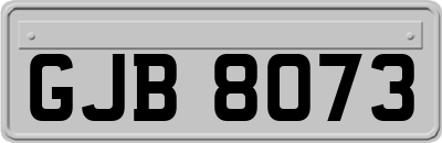 GJB8073
