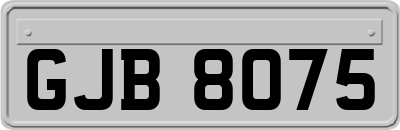 GJB8075