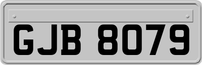GJB8079