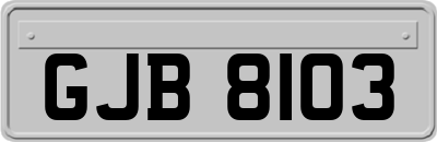 GJB8103