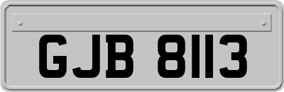 GJB8113