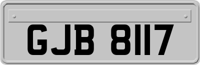 GJB8117