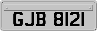 GJB8121