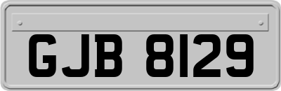 GJB8129