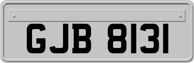 GJB8131