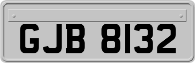 GJB8132